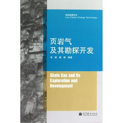 頁巖氣及其勘探開發(fā)/低碳能源技術(shù) 肖鋼,唐穎編著 著作 石油 天然氣工